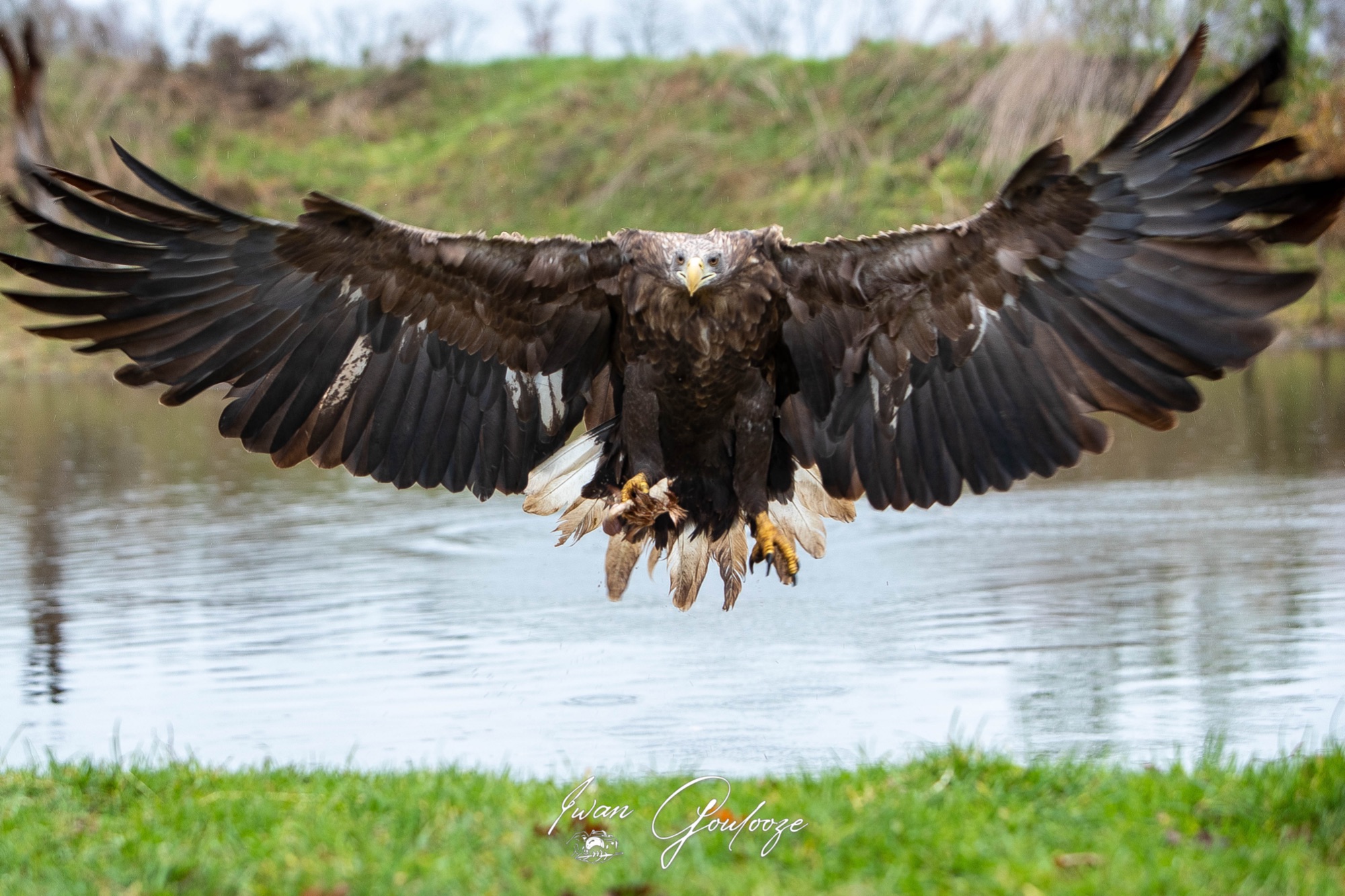 1DX45723 28 november 2021 1429 32